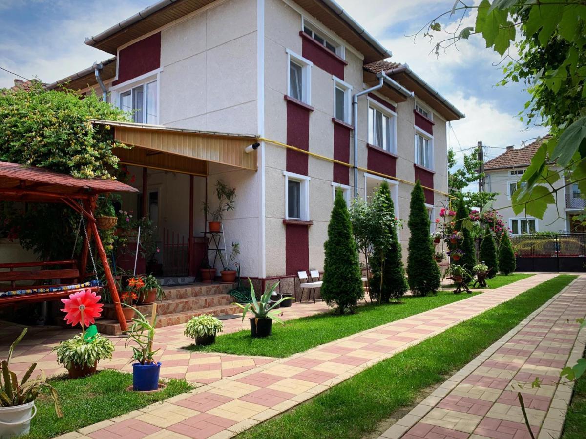Casa Mary Haţeg Exterior foto