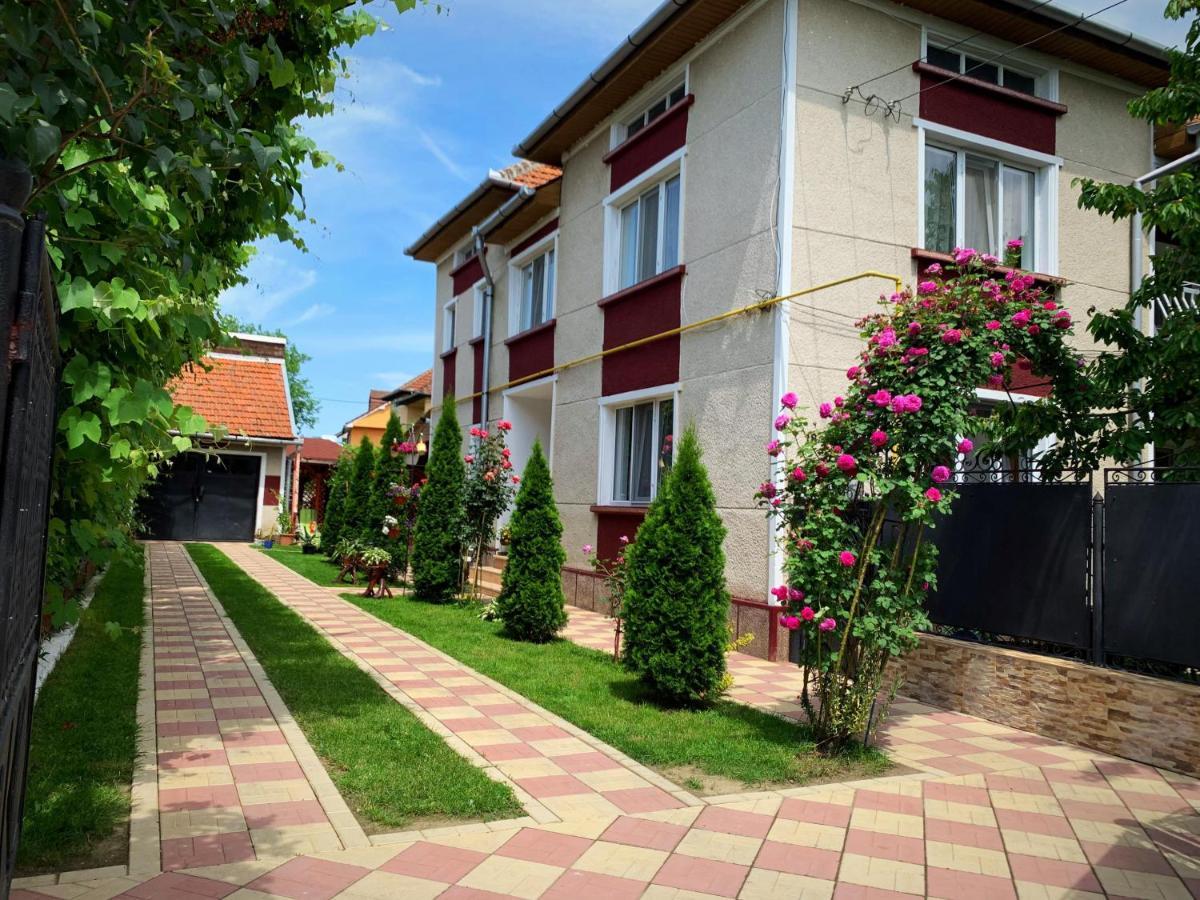 Casa Mary Haţeg Exterior foto